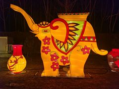 -南宫五洲植物乐园