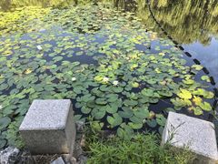 -文瀛公园