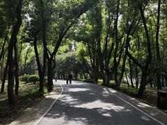 -东湖落雁景区