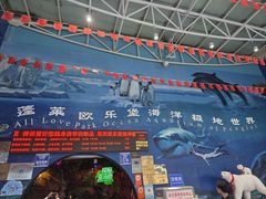 -蓬莱欧乐堡海洋极地世界
