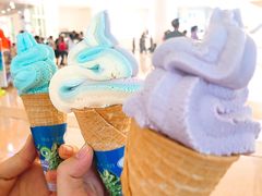 冰淇淋售卖摊-广东科学中心