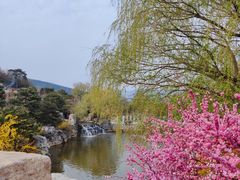 -北京西山国家森林公园