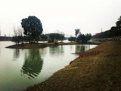 -艾溪湖湿地公园