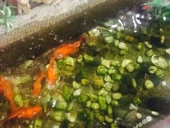 -马子全羊(堤口路店)