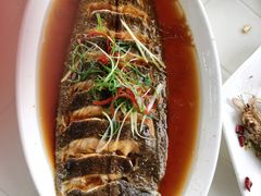 -胖大嫂渔家排档·全海景餐厅(渔村店)