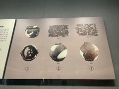 -巴音郭楞蒙古自治州博物馆