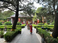 -白家大院·王府宫廷菜(苏州街店)