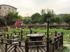-枇杷园食为鲜火锅(南山店)