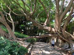 -胡里山炮台