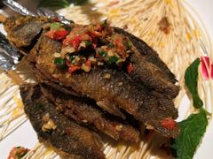 -佬麻雀·新湘菜(珠海金发购物中心店)