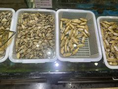 -宝燕壹号(徐汇店)