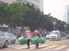 -情侣路