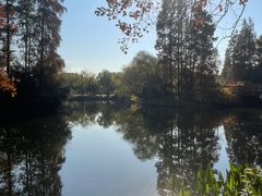 -上海滨江森林公园