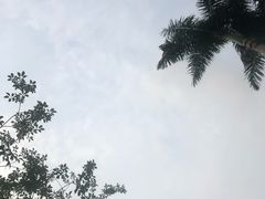 -黄金海岸水上乐园