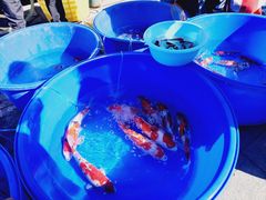 -华声天桥民俗文化园