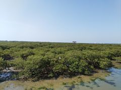 -北海金海湾红树林生态旅游区