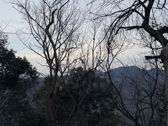 -灵顺寺