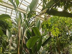 -石家庄市植物园