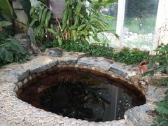 -中家鑫园温泉酒店鑫悦汤泉