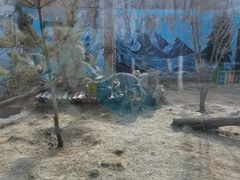 -青藏高原野生动物园