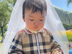 -惠洛克国际儿童之家(绿博园中心)
