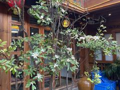-哈吱喂丽江火塘·牦牛火锅(五一街店)