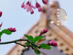 -明故宫遗址公园