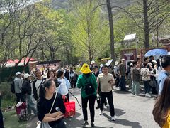 -木兰云雾山