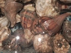 -码头鲜精致威海菜(欧乐坊店)