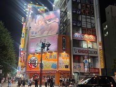 -秋叶原电器街