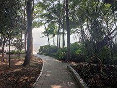 -深圳湾公园(南山区)