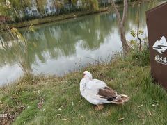 -木兰水镇旅游景区