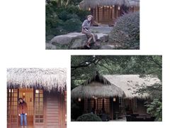 -中国茶叶博物馆(双峰馆区)