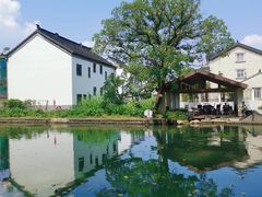 -同里国家湿地公园