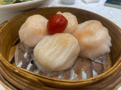 虾饺-老广新意(奥园店)