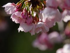 -静安雕塑公园