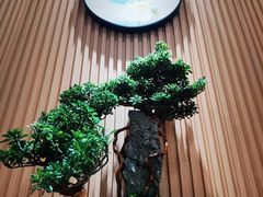 -静园乡村菜(凤鸣路店)