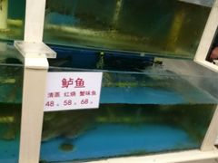 水产区-天津乾毓德饭庄·清真传统炒菜·海鲜烧烤(咸阳路店)