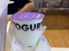 -一只酸奶牛(双流万达广场店)