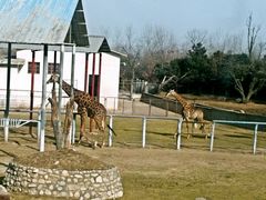 -西安秦岭野生动物园