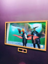 -恐龙探索乐园(磁器口店)