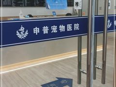 -申普宠物医院·眼科·心内科·影像科(普陀分院)