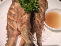 -顶特勒·黄鱼馆·特色菜(上海大世界店)