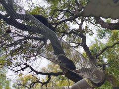 -广东花都香草世界旅游度假区