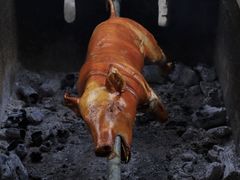 -明仕田园