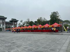 -王借岗森林公园