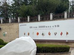 -青岛贝壳博物馆