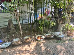 -膳和缘炒鸡店(南门路店)