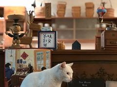 -懒鱼时光馆(沙坪坝店)
