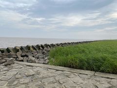 -南汇嘴观海公园